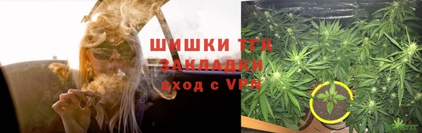 трава Абаза