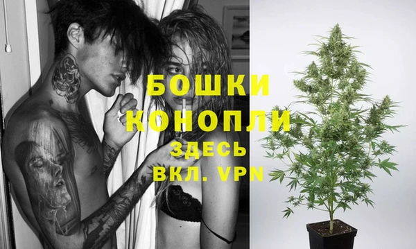 трава Абаза