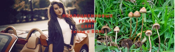 трава Абаза