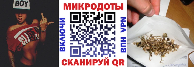 Галлюциногенные грибы Cubensis Яблоновский