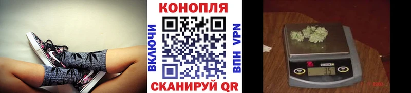 где продают   Яблоновский  Шишки марихуана Amnesia 